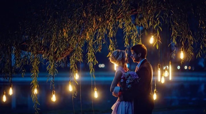 chauffeur mariage aix les bains mariés sous arbre la nuit près du port